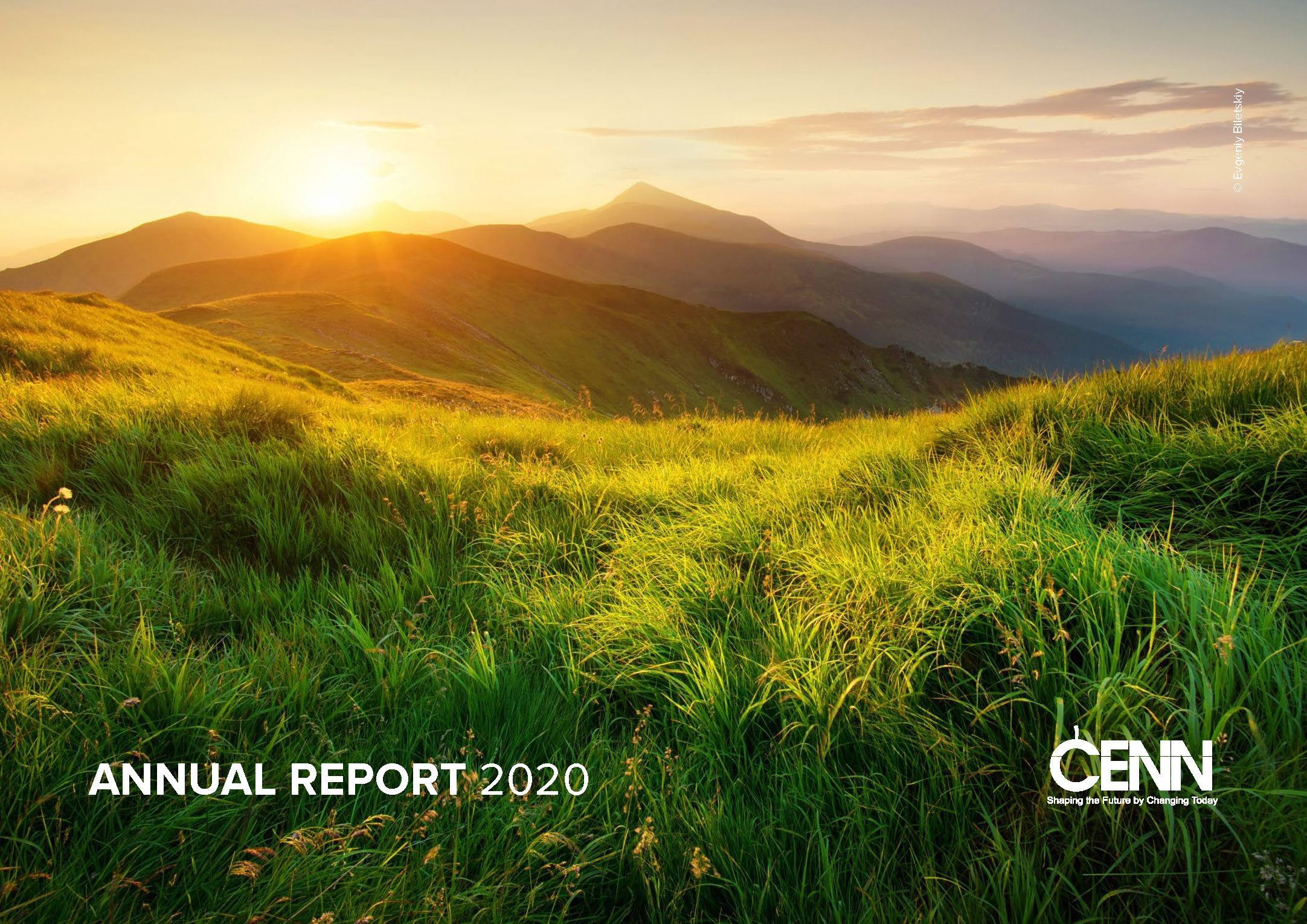 CENN Annual Report 2020