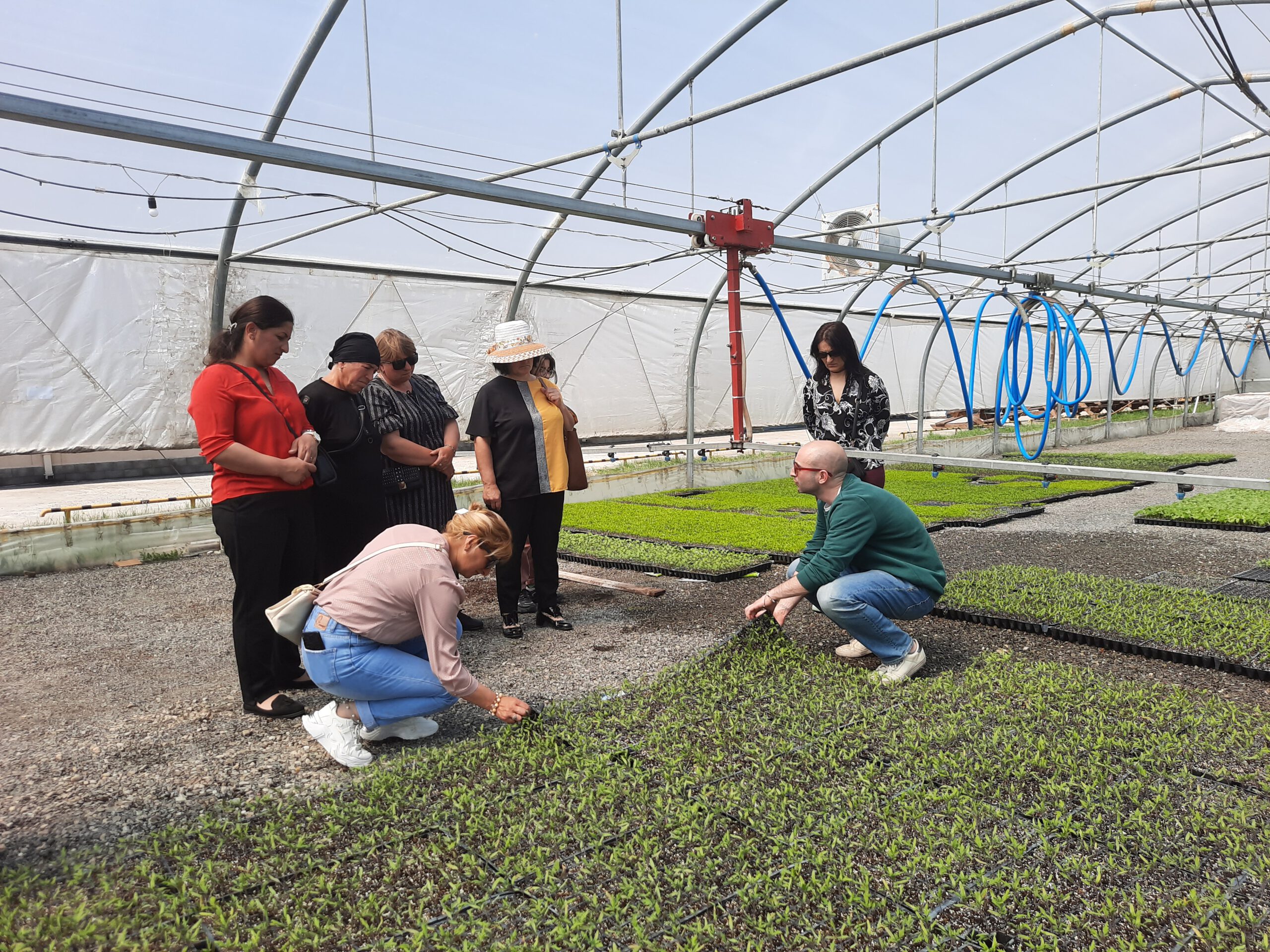 A Study Tour for Female Agriculture Cooperative Members in Greenhouse Farming