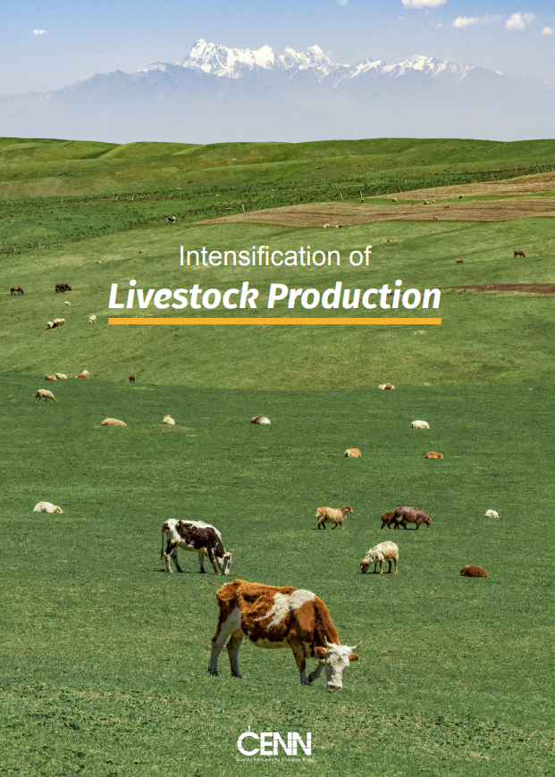 Intensification of Livestock Production