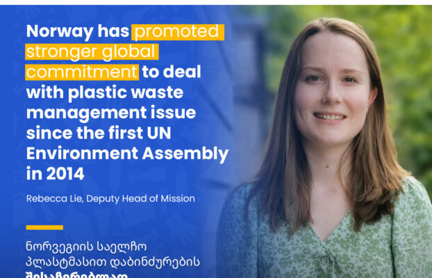 Norwegian Embassy in Georgia is joining the Beat Plastic Pollution Competition