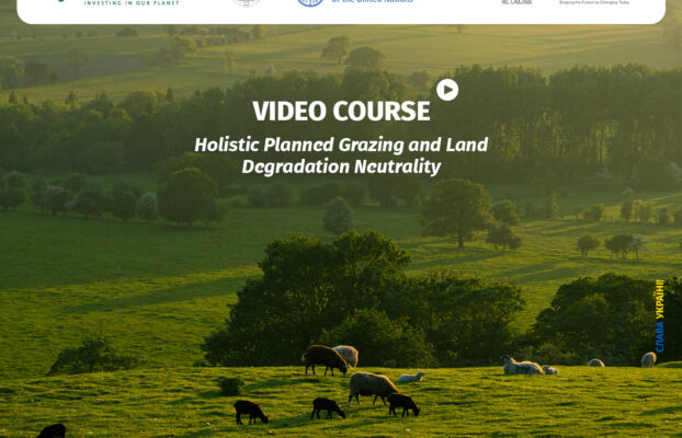 Video Course on Holistic Planned Grazing and Land Degradation Neutrality
