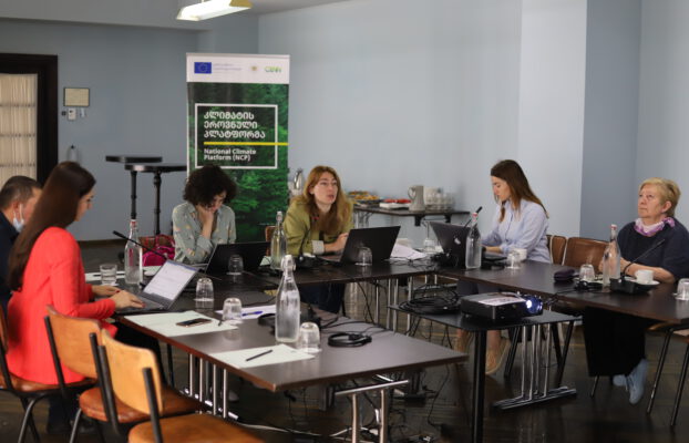 With the Support of the EU, the Ministry of Environment and Agriculture of Georgia and CENN Hosted Fourth Meeting of the National Climate Platform (NCP)