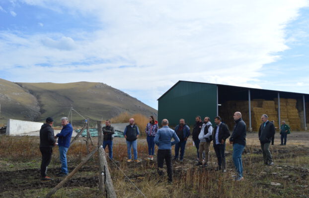 Empowering Farmers in Beef Cattle