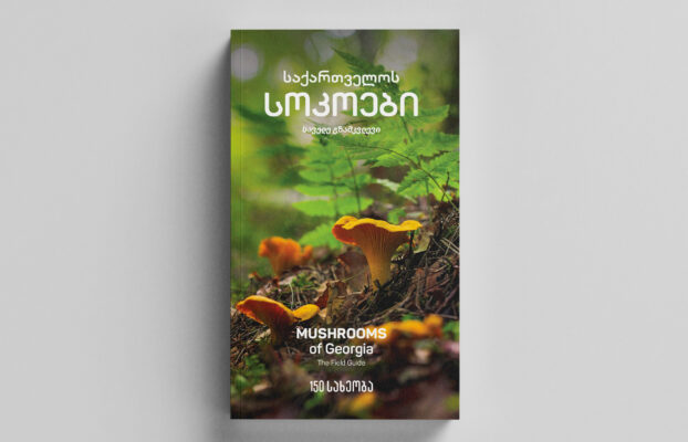 CENN Publishes a Field Guide – Mushrooms of Georgia