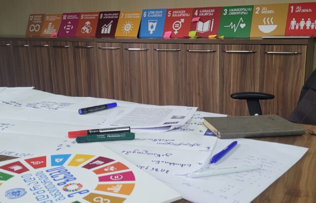 CENN, საქართველოს SDG სამდივნო და გერმანიის მთავრობა SDG პრიორიტეტიზაციაზე მუშაობენ