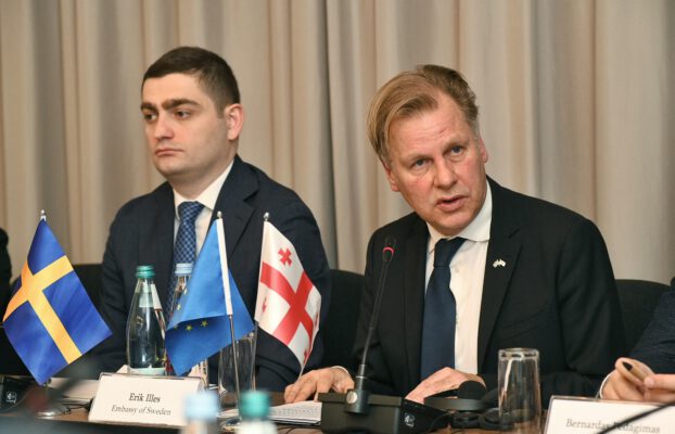 მწვანე დღის წესრიგის პროექტის დაწყება: საქართველოს ნაბიჯი მდგრადობისა და ევროკავშირში ინტეგრაციისკენ