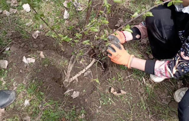 ახალგაზრდებმა რაჭაში გარემოსდაცვითი პროექტები წამოიწყეს