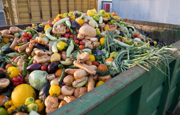 How We Waste Food and What We Can Change – All about Food Waste