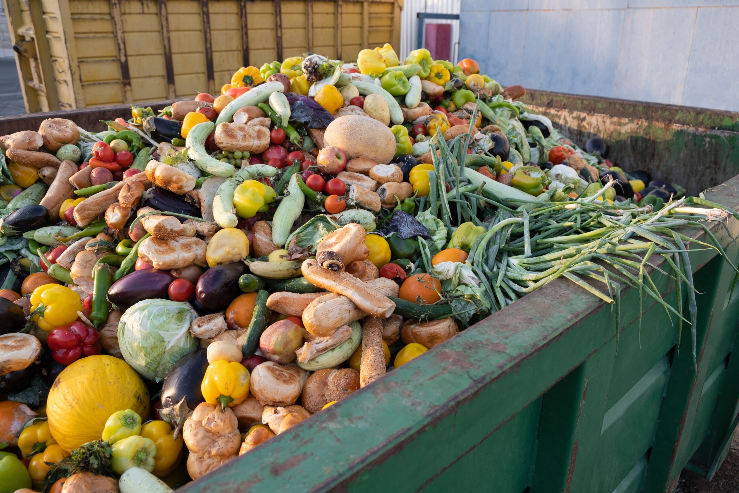 How We Waste Food and What We Can Change – All about Food Waste