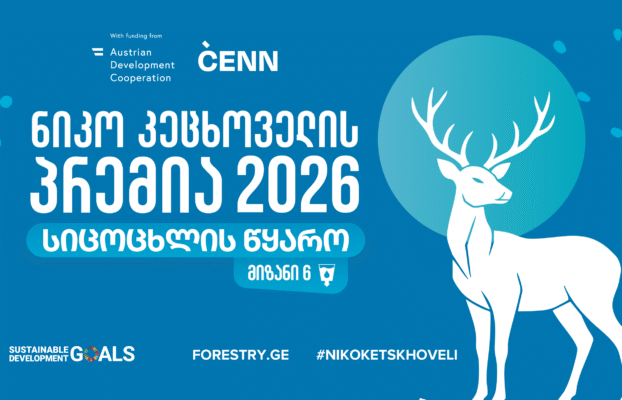 The Niko Ketskhoveli Award 2026: Registration for Eco-Clubs is Now Open