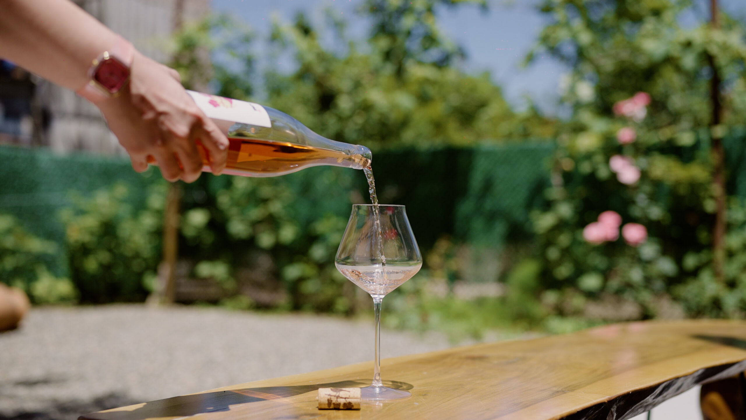 გურული ვაზის გაცოცხლებული ისტორია და ევროპული ხარისხის ახალი სტანდარტი