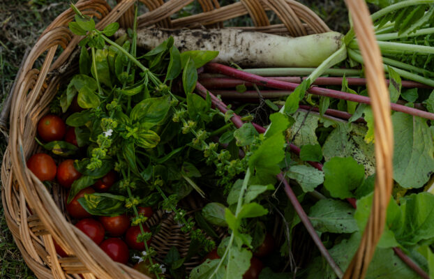 Developing Gurian Farming: How the EU Supports Local Farmers