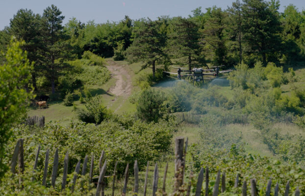 EU-Supported Innovative Businesses in Guria for Regional Development