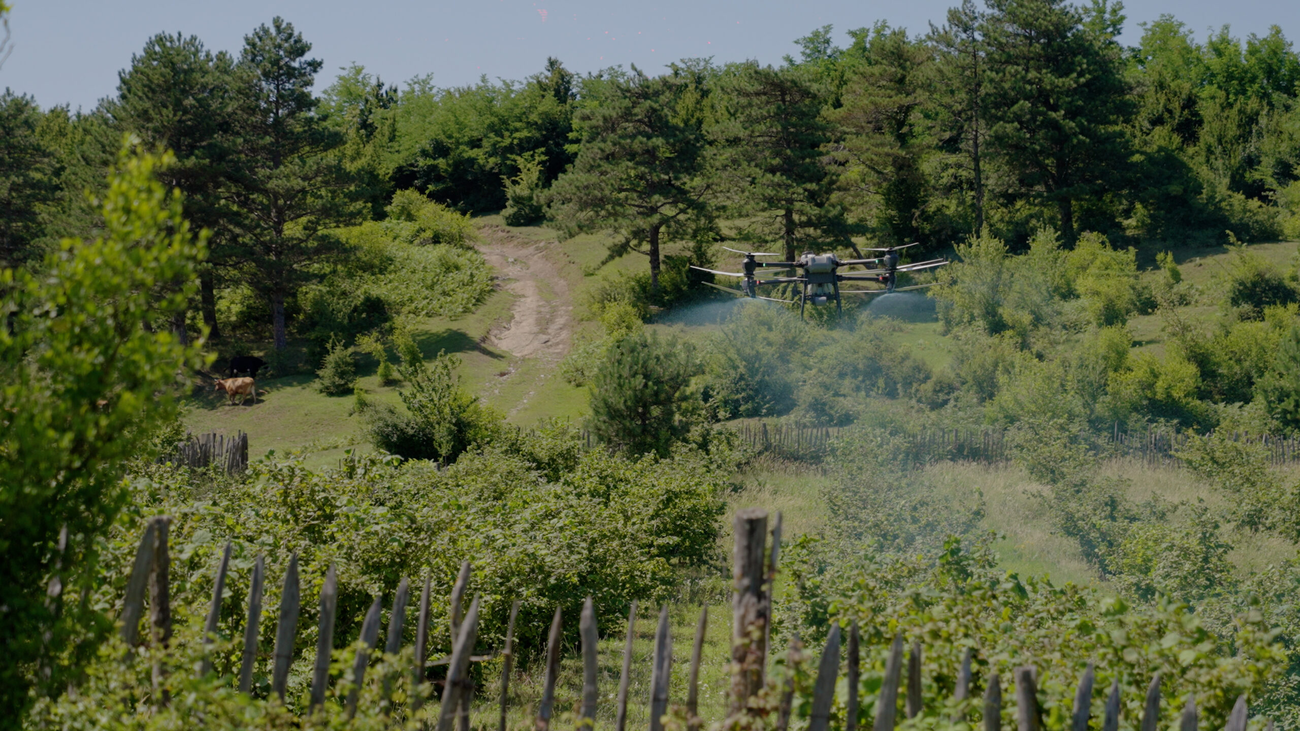 ინოვაციური ბიზნესები გურიის განვითარებისთვის: ევროკავშირის მხარდაჭერა და ახალი სტანდარტები