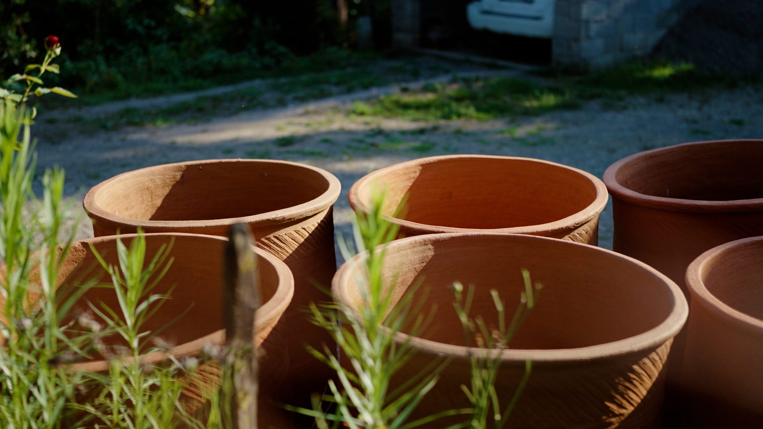 Strengthening Traditional Industries and New Economic Opportunities in Guria